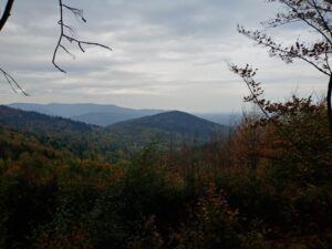 Read more about the article Wycieczka rodzinna w Beskid Mały