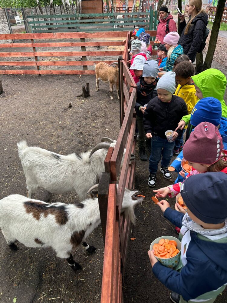 You are currently viewing AnimalWorld – wycieczka Czerwonych Misiów