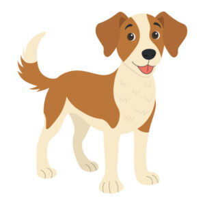 Read more about the article Dzień Kundelka