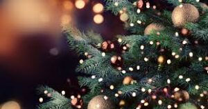 Read more about the article Życzenia bożonarodzeniowe