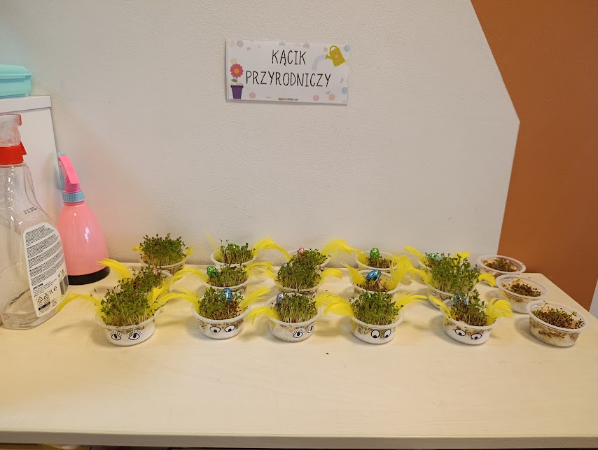 You are currently viewing Wielkanocne sianie rzeżuchy