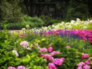 Read more about the article Wycieczka do Ogrodu Botanicznego